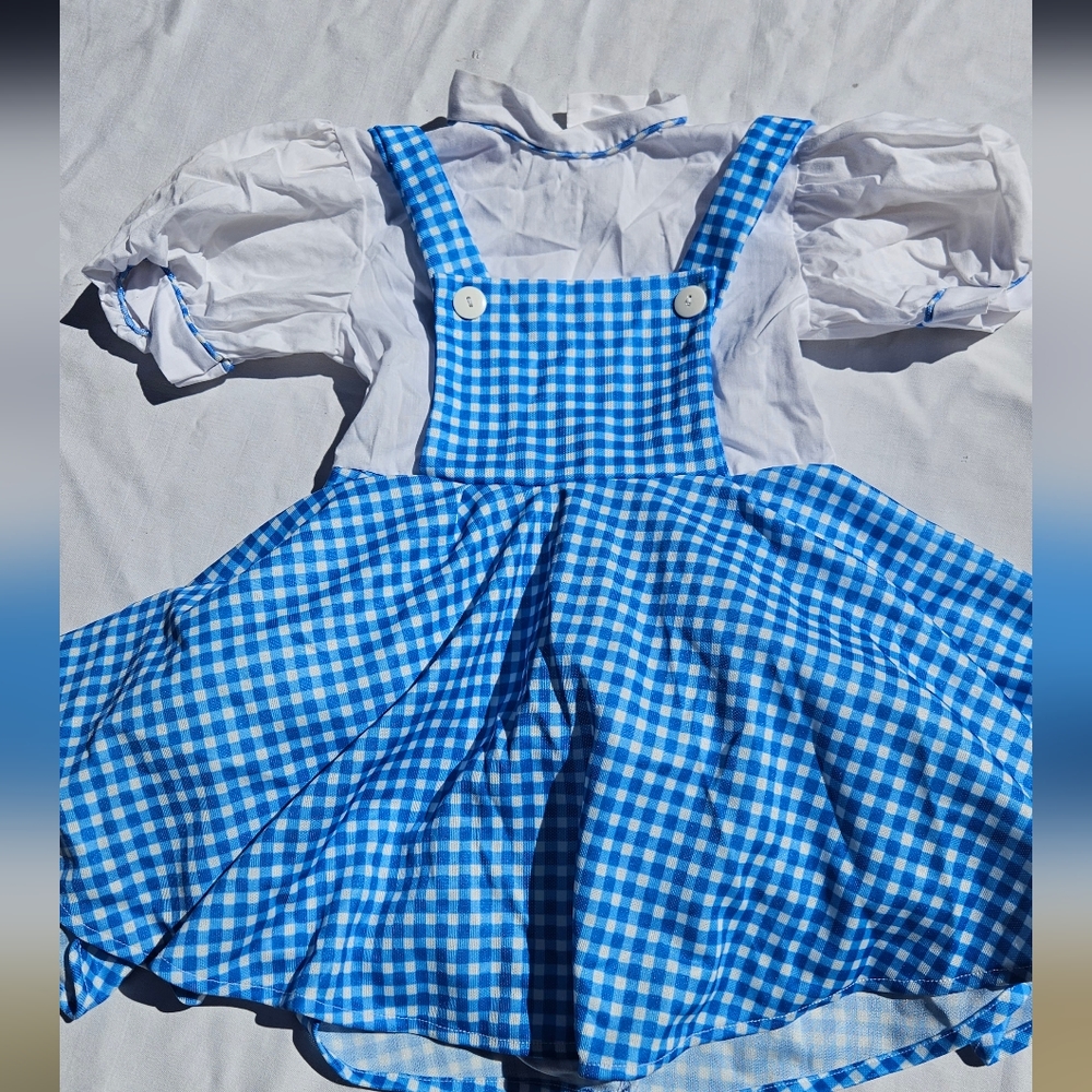 Toddler Girl Dorothy Dress Costume Size Small